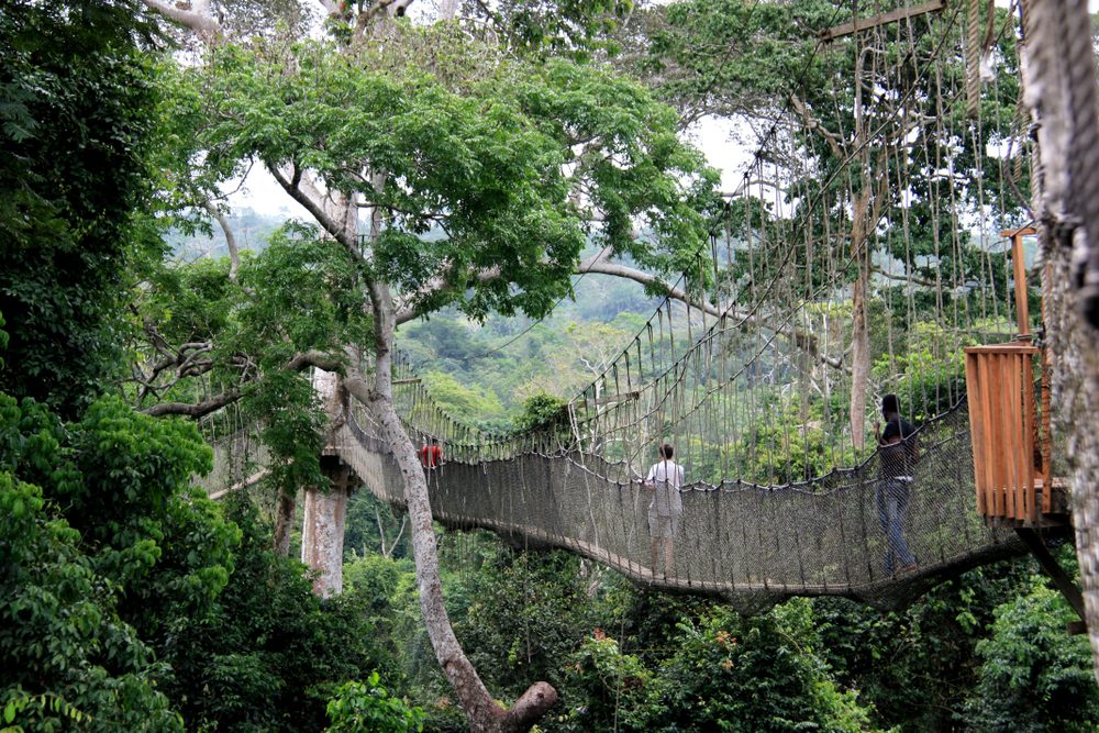 kakum national park