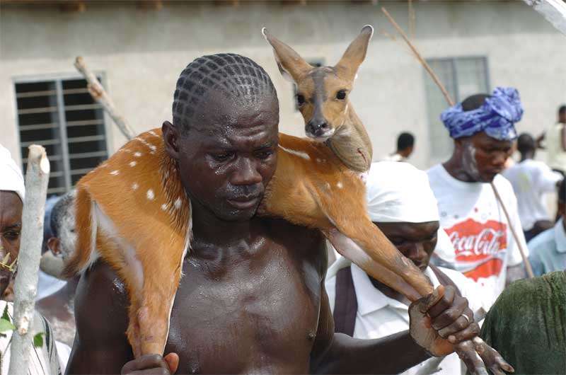 Festivals in Ghana in May