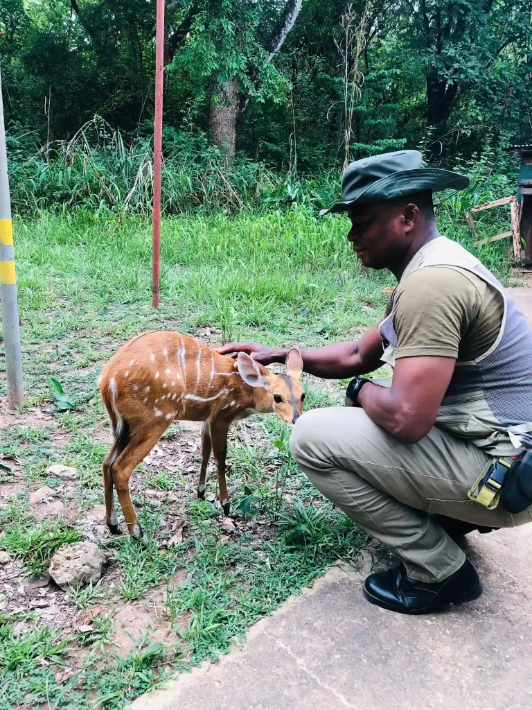 Visit Kyabobo National Park