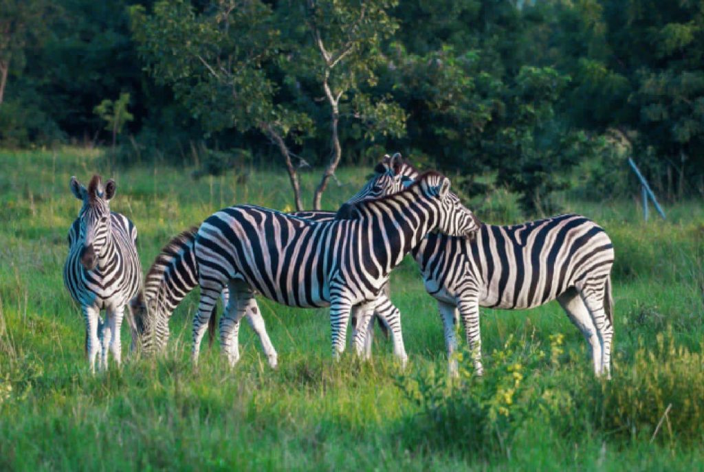 Shai Hills Reserve