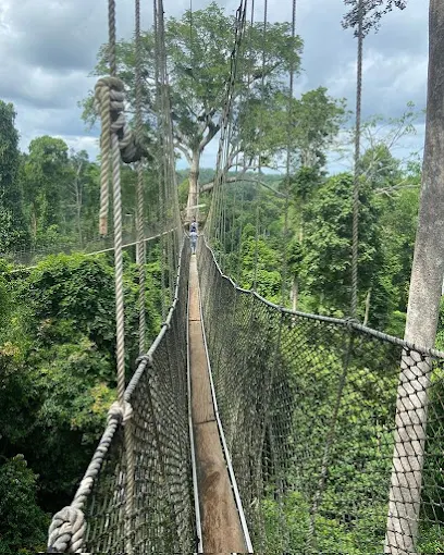 kakum national park