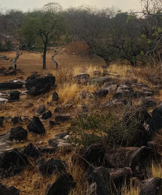 Pikworo Slave Camp – A Guide to Ghana’s Hidden Legacy of Slavery