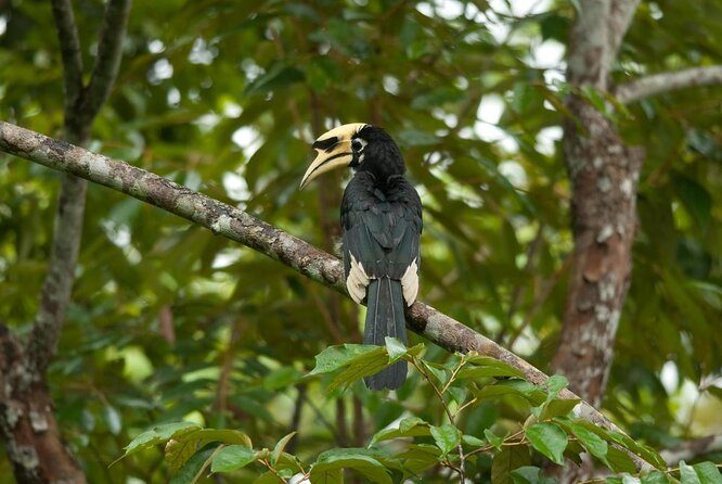 Owabi Wildlife Sanctuary & Bird Reserve
